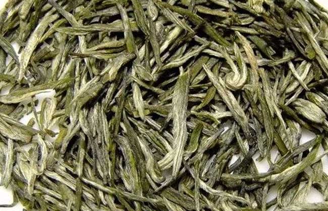 毛尖产地是哪里?