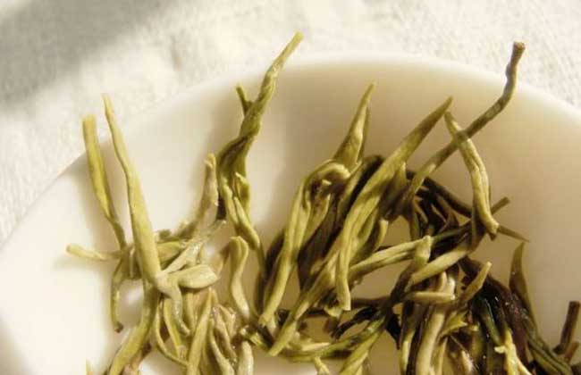 毛尖产地是哪里?