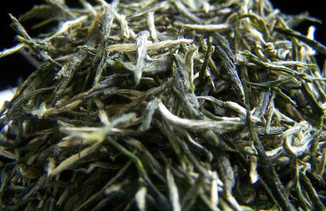 毛尖产地是哪里?