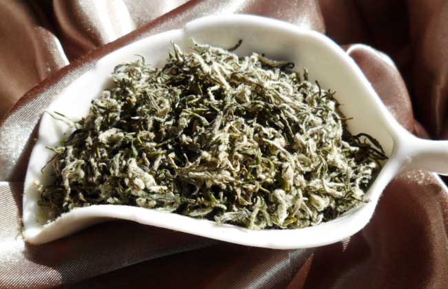 毛尖产地是哪里?