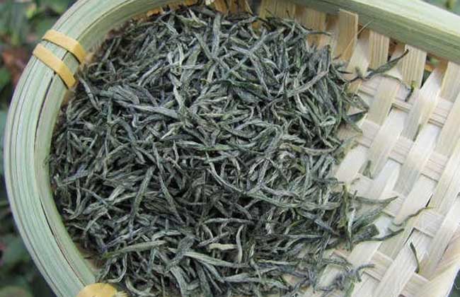 毛尖产地是哪里?