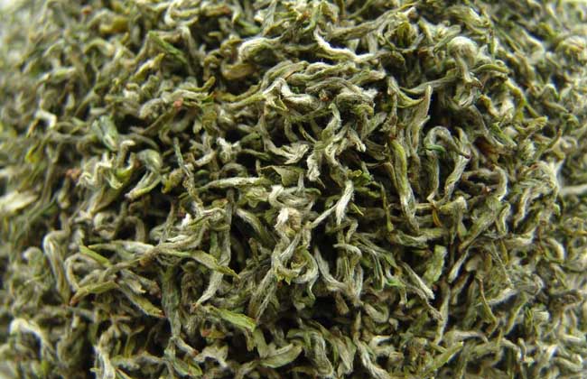 碧螺春是绿茶吗?