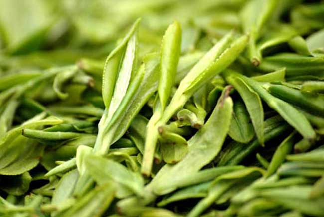 龙井茶产地在哪里？