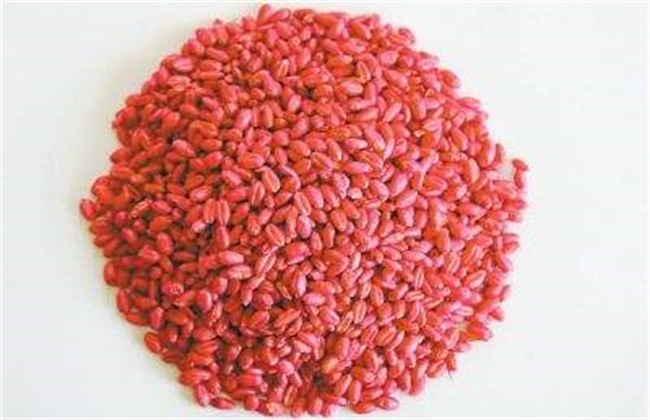 小麦拌种要注意些什么