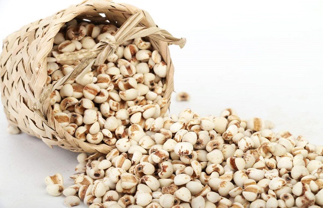 薏米的种植方法与时间