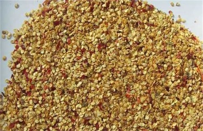 辣椒种植技术与管理