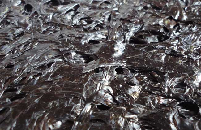 紫菜是不是植物?