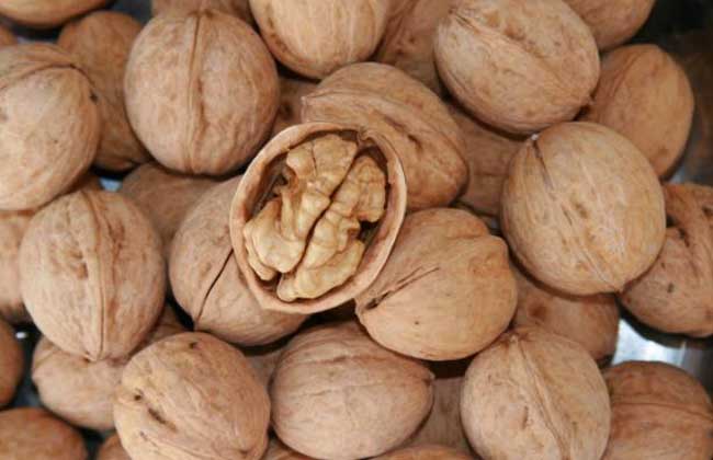 核桃什么时候成熟?