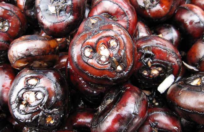 荸荠产地在哪里?