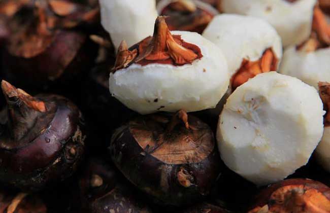 荸荠的读音是什么?