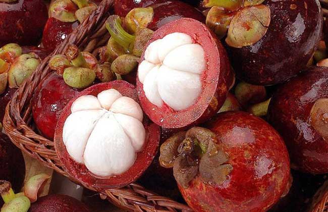 山竹里面的核能吃吗?