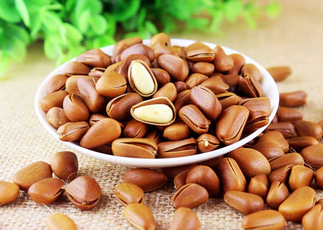 松子产地主要在哪里?