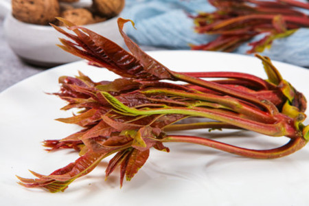 香椿树在风水上的说法,栽在什么位置好