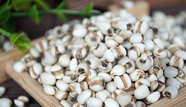 龙薏1号品种介绍