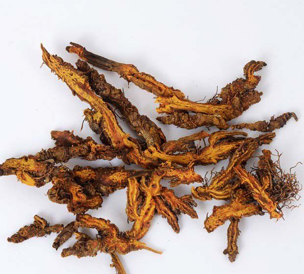 使用黄连的注意事项