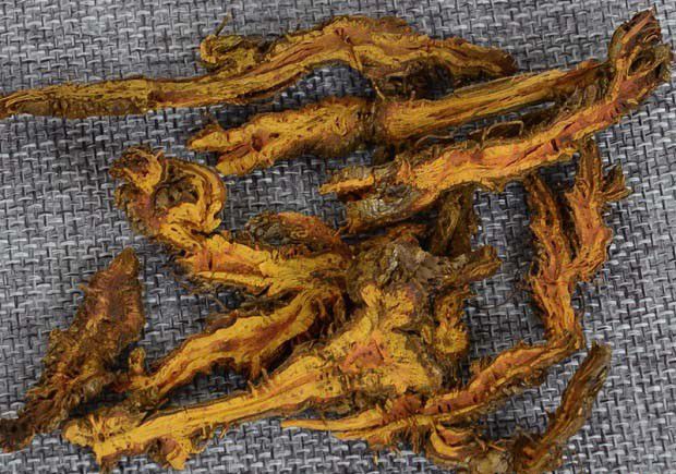 黄连治疗猪感冒方法