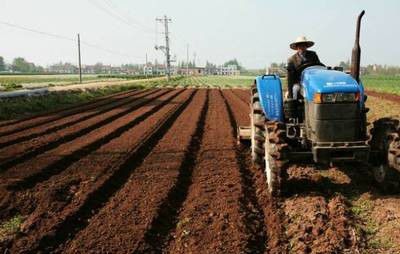 种植半夏如何整地施基肥？