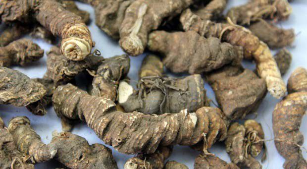 重楼的药用价值是什么?