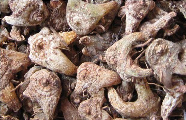 种植白芨一亩需要多少钱?