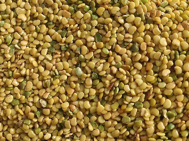 广金钱草如何用种子育苗?