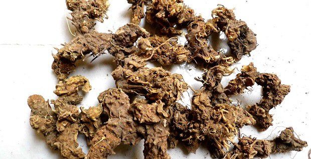 射干如何用根茎繁殖？