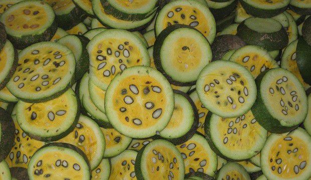 种植瓜萎什么时候可以采收?