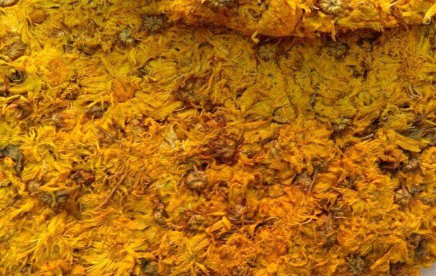 菊花采收后如何加工？