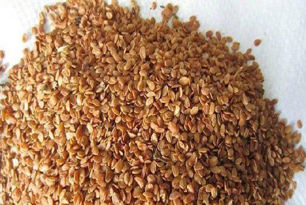 金银花如何用种子育苗？