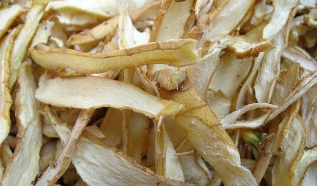 玉竹有哪些功效与作用?