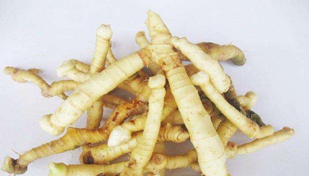 玉竹的别名有哪些?