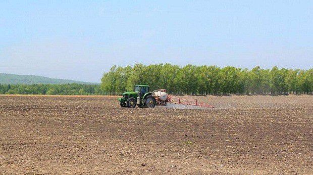 种植北沙参可以使用哪些除草剂?