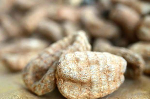 我国天麻的需求量