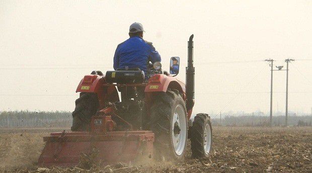 种植甘草如何选地整地?