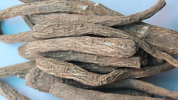 种植白芷如何采收?