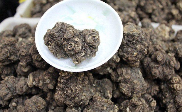 川芎质量如何区分?