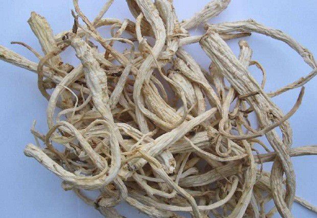 种植桔梗如何采收、加工?