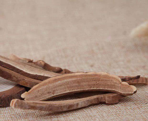 灵芝可以治疗慢性支气管炎吗？