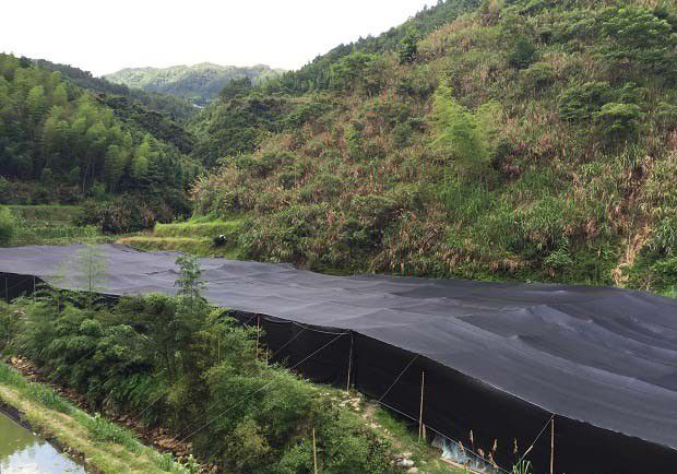 灵芝室外保护地栽培有哪些特点?