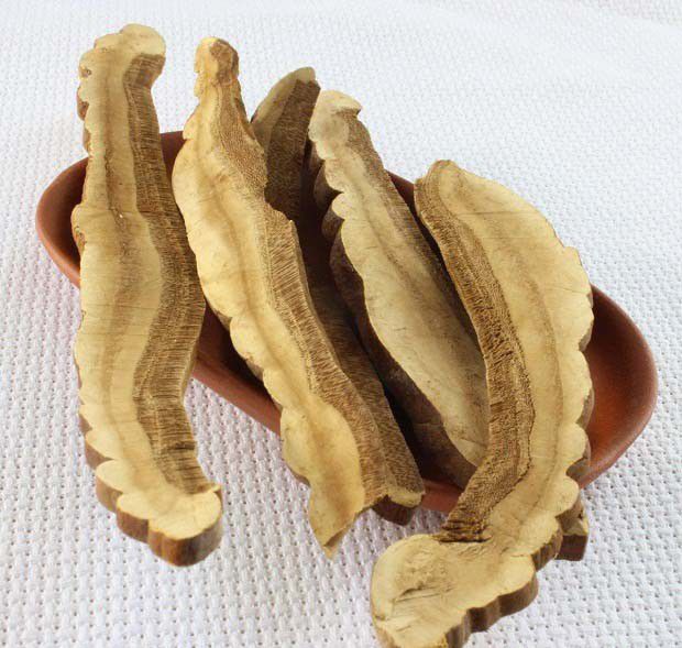 野生灵芝抑制肿瘤的方式有哪些?