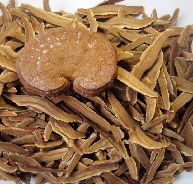 吃灵芝会晕眩吗?吃灵芝需要注意什么?