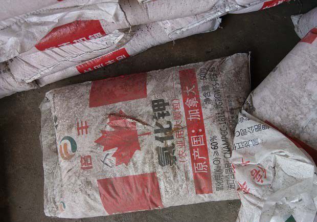 种植百合每亩需要施多少钾肥,如何施?