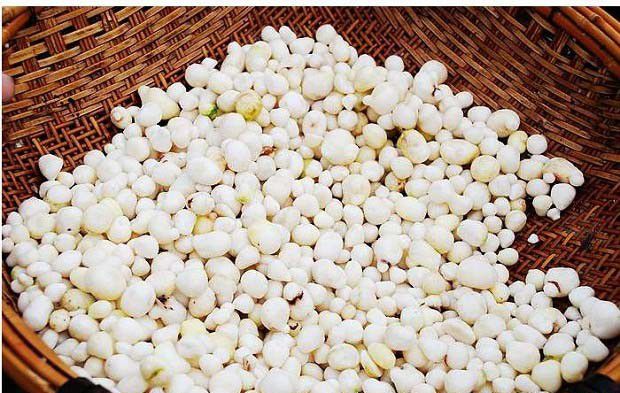 半夏的药用功效有哪些？