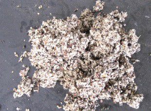 栽培灵芝的培养基如何配制？