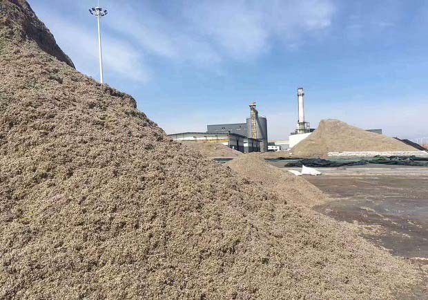 栽培灵芝的培养基如何配制？