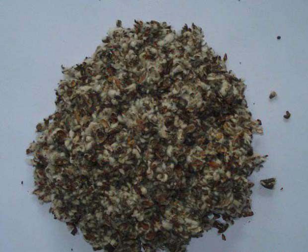 栽培灵芝的培养基如何配制？