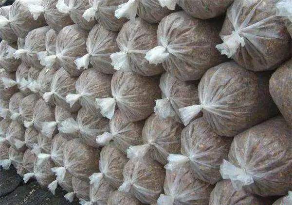 袋栽灵芝如何拌料装袋？