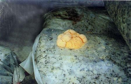 灵芝栽培过程中出现污染怎么办？